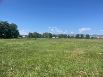 Nelson Road Development Nelson Road Development