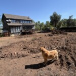 Orchard Ave | Lot clearing 2 | Chanin Development